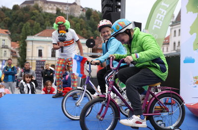 Foksi in olimpijski zaklad